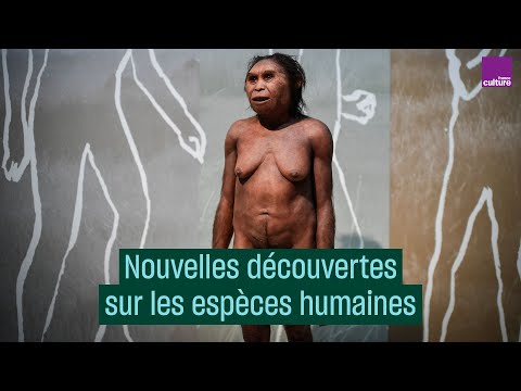 Vidéo: Voyageur Païen: Les Mystérieuses Origines De L'homme Vert - Réseau Matador