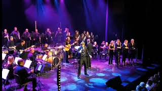 Video thumbnail of "Elvis classics meets Bouke - My boy - Live 28/05/2022"