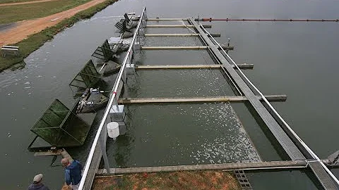 In Pond Raceway System: An Intensive Fish Producti...