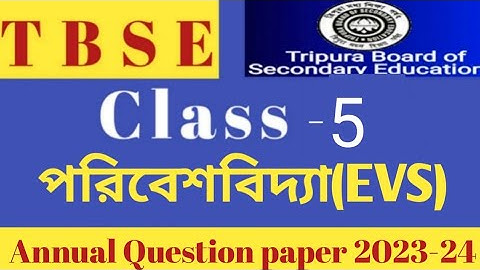 Class 5 EVS annual exam question paper 2023-24