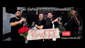Luis Gabriel & Ork Diamantelor - Florile Tale 💐 | LIVE COVER 2022