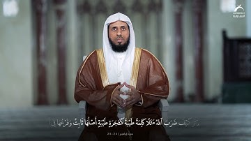علمني القرآن 1 | القارئ: ماجد الزامل