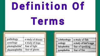 Definition Of Terms | English