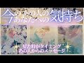 今のあの人のあなたへの気持ち 【 恋愛 タロット オラクル カード 占い 】