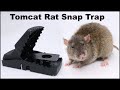 The Tomcat Rat Snap Trap & A Bobcat. Mousetrap Monday
