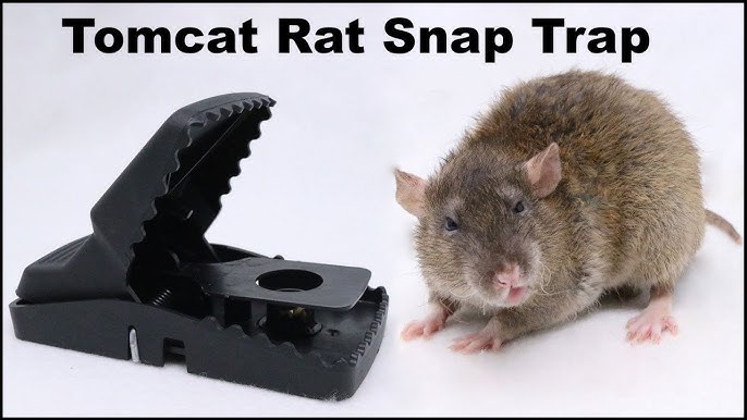 OWLTRA® Electronic Rat Trap - Effective way to get rid of rats