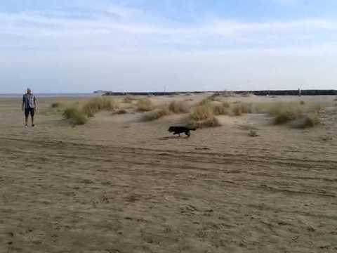 sexfilm am strand singel portale sexfilm am strand singel portale