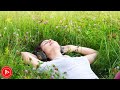 Relaxing Music 24/7, Soothing Relaxation, Calm Music, Stress Relief Music for You | DM Music