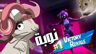 NOVO TRANSFORMICE PIRATA 2019 (RANKING ZERADO)
