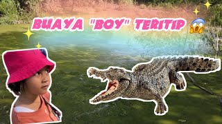 VLOG #18 - HAMPIR DI SERGAP BUAYA BOY TERITIP 😱🥵 | penangkaran buaya