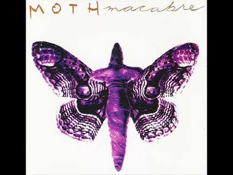 Moth Macabre — Moth Macabre - All Great Architects Are Dead