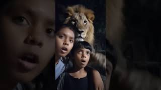 lion is a heart 😱