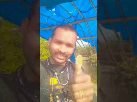 କ ସ ହ ଲ ପଡ ଗଲ Ms Chogola Come 