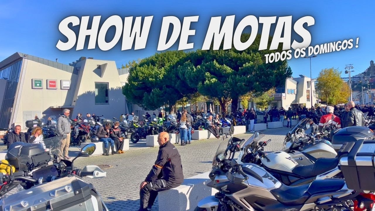 As MOTAS DO CAIS DE GAIA - 2025