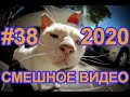 #СМЕШНОЕВИДЕО2020 #38 #лучшиеприколы2020 #подборкаприколов2020 #coub #киноприколы #любительскоевидео