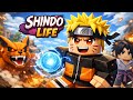SHINDO LIFE R2G