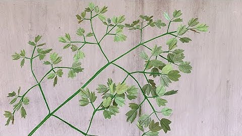 ABC TV | How To Make Easy Leaf Branch Paper - Craft Tutorial