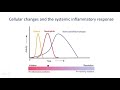 Boot Camp: Biomarkers in Autoinflammation