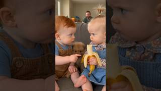 These Toddlers Were Having a Serious Argument 😂🐶 #Shorts #FunnyBabies #ToddlerFunny #CuteBabies