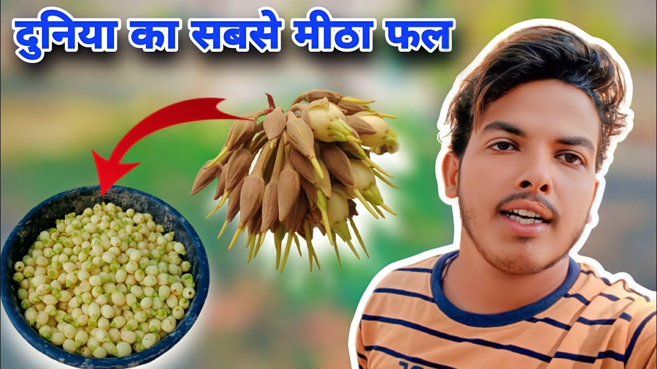 mahua ka fal sa kya kya hota hai YouTube