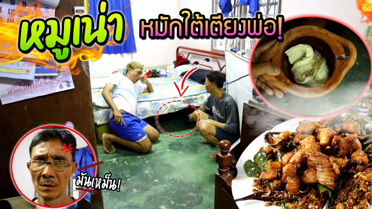 แอบหมักหมูเน่าใต้เตียงพ่อ!!!  กลิ่นเหม็นเต็มห้องหมูเน่าคลุกฝุ่น  อร่อยเฉย