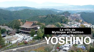 Découvrir Yoshino (4K Ultra HD)
