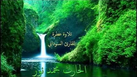 أواخر سورة النبأ القارئ الحارث محمد نور
