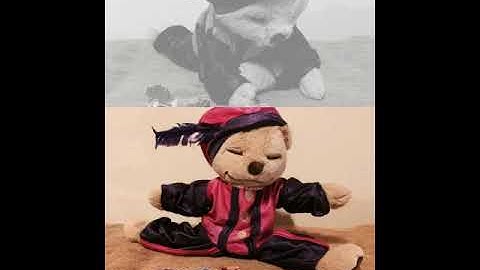 Pietenyoga  (Created with @Magisto)