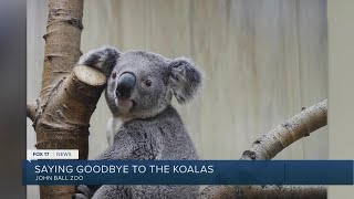 Koalapalooza