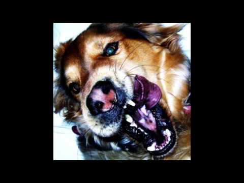 Coma Cinema - Her Sinking Sun