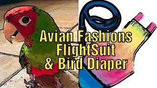 Avian Fashions Bird FlightSuit の使用方法鳥のおむつ