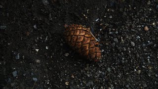 Şehir, Köy, Doğa Photo Vlog 15 12 1440 16 08 2019