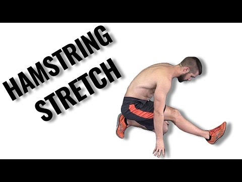Dynamic Stretching for