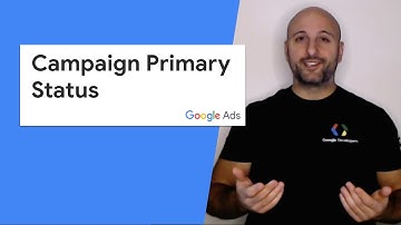 Google Ads API - Campaign Primary Status