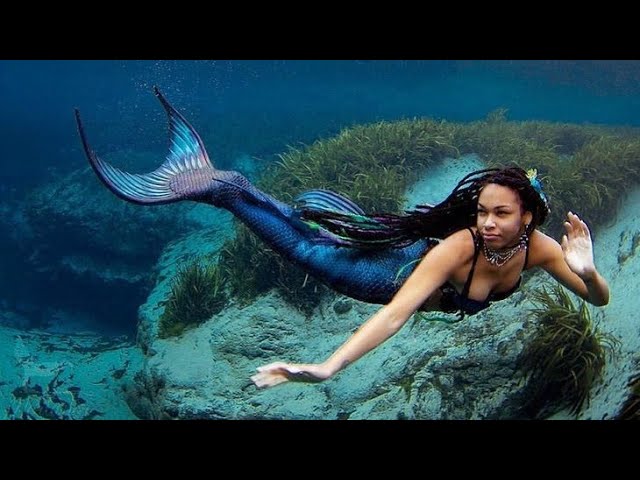 🔴 Incroyable : Une vraie SIRENE attrapée à Mombasa au Kenya