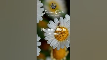 Find tranquility in the tumult 🌊 #relaxingmusic #relaxing #calm #focus #nature