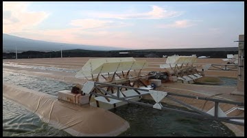 sunomix algae production movie