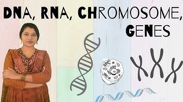 Structure of Chromosome, DNA, RNA, Genes || 41st BCS Preli & 41st Written Exam-Science & Tech