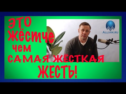 ВОТ ЭТО ЖЕСТЬ ПОЛУЧИЛАСЬ/АЛЬФАБАНК И ЕГО КЛИНИЧЕСКИЕ ИДИОТЫ/Как не платить/Кузнецов | Аллиам