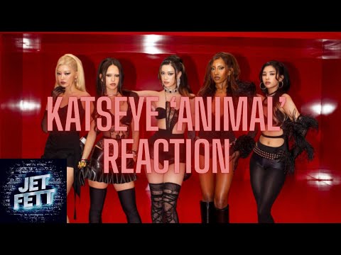 KATSEYE ‘Animal’ INCREDIBLE! (REACTION)