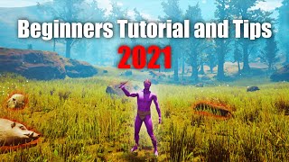 Beginners Tutorial and Tips Citadel Forged With Fire 2021