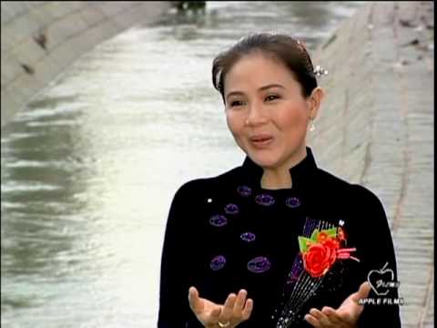 Thanh Ngan - BONG HONG CAI AO