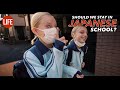 Should We Stay in Japanese Public School? | Life in Japan Episode 161