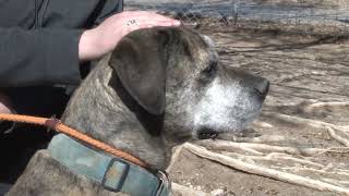 02-25-2022 Save A Pet - Caco