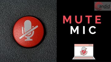 How to Mute Mic with Keyboard Shortcut? (Windows and Mac)