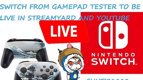 I TRY THE CONTROLLER FROM GAMEPAD TESTER OF MY CONTROLLER SWITCH