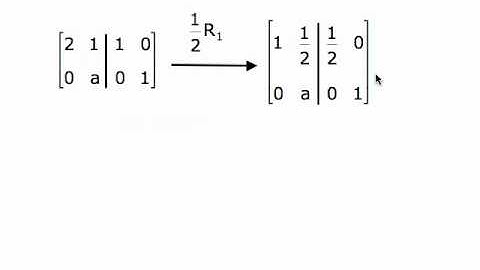 Matricies with Unknown Entries (movie 1.4A)