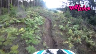 Saarenmaa, Viro 2014