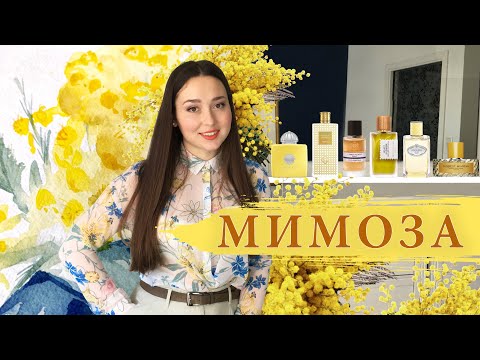 Video: Hvordan Man Laver Mimosa