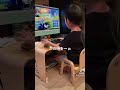 ハルア5歳👑即興ビクロイの歌が割とイケてるww【フォートナイトFortnite】
